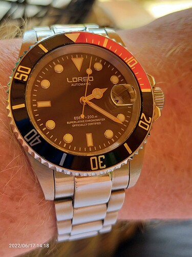 16554683075774663978300333786905