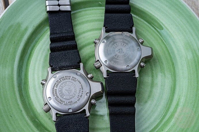 Citizen-Aqualand-Promaster-JP2000-3460 copy