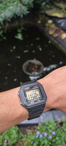 IMG_20230824_110122