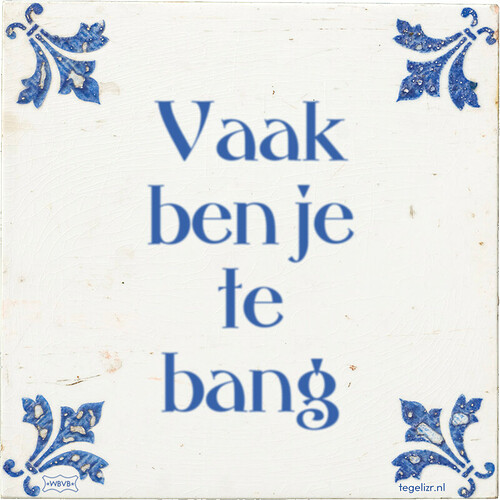 vaak-ben-je-te-bang