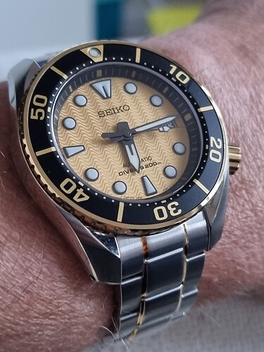 16350056387947473945571844075718