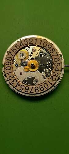 IMG-20221208-WA0019