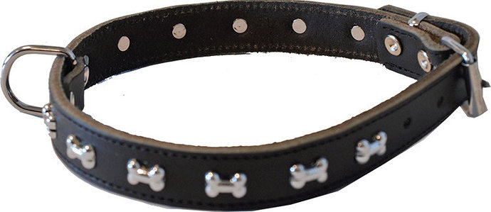 Halsband
