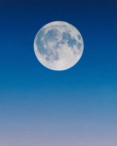 Screenshot_20211209-220903_Google