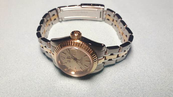 Tudor Princess 92513 Bezel Crown Bracelet gd-st  (3)