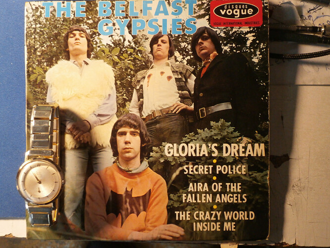 The_Belfast_gypsies