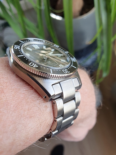 16046685772895829605150443003274