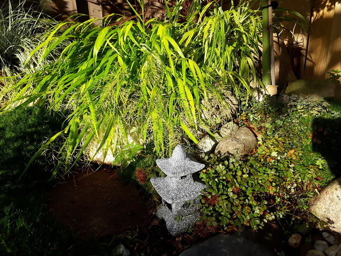 20191002_101036
