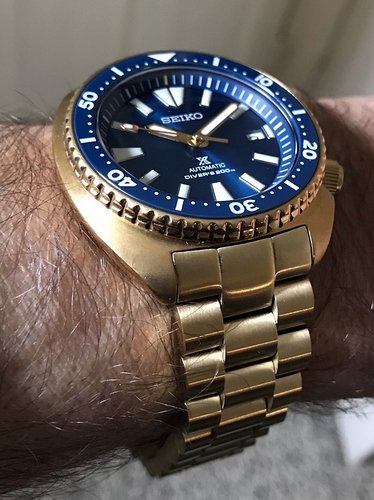 RoyalTurtle