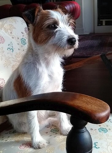 Rosie