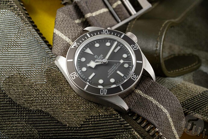 Tudor-Black-Bay-Fifty-Eight-925-M79010SG-0001.002
