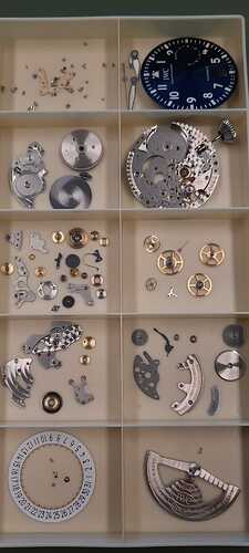 IMG-20230628-WA0018