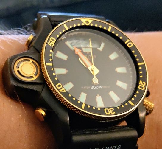 IMAG3148