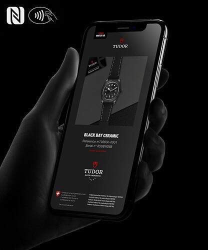 tudor-watch-id-visual