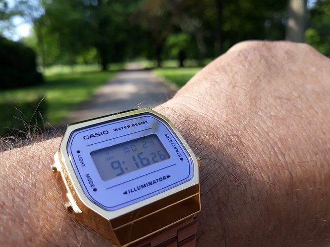 20190624_091654