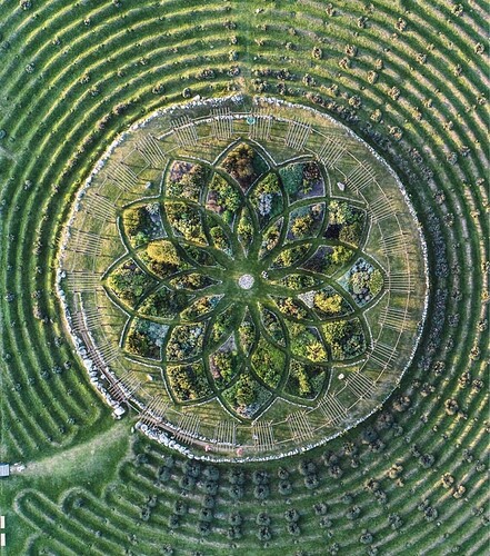 LavenderLabyrinth