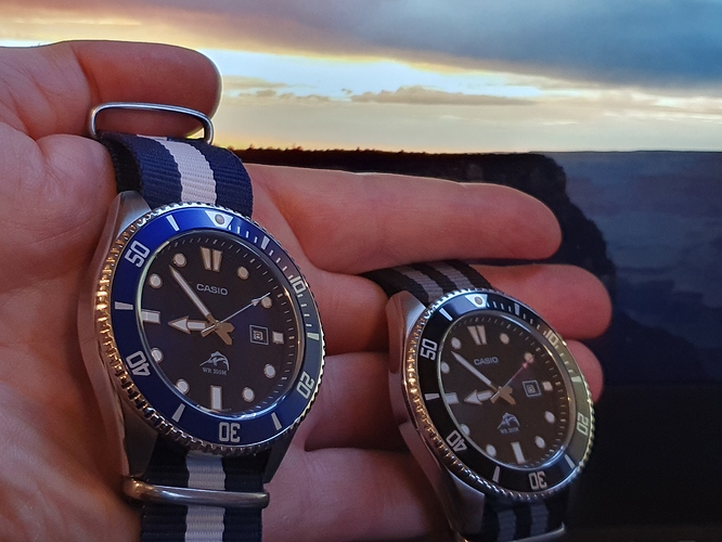 16109561859244530986028204557447