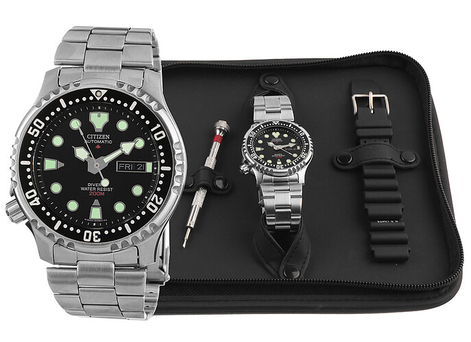 citizen-promaster-ny0040-09eem-set