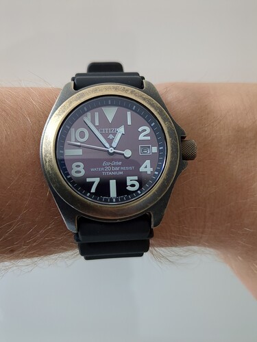 16913192371051724731099433044012