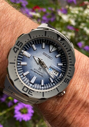 Seiko Monster Sat 04.09