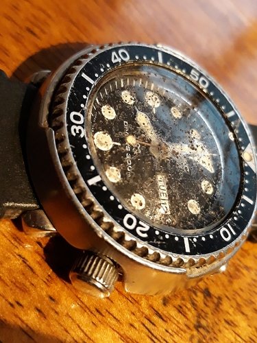 IMG-20190728-WA0009