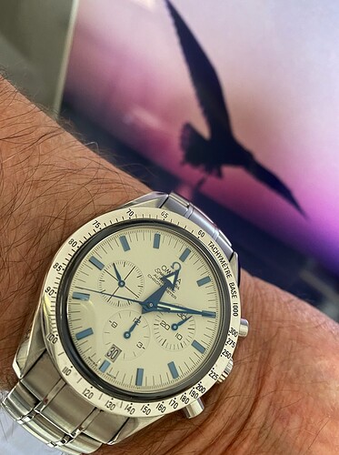 Omega SM white dail 30.09.21