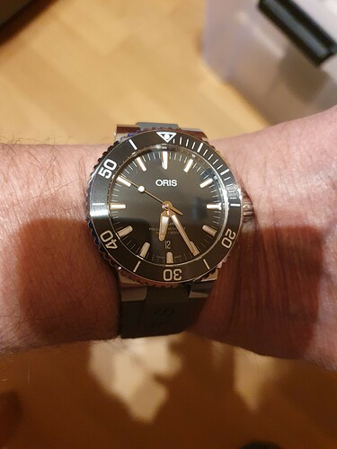 Oris aquis