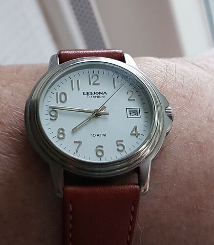 Leijona quartz titanium(2) 12-04-20-23