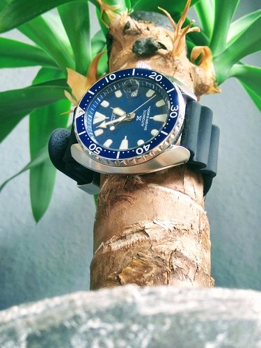 IMG_20190829_125730~2