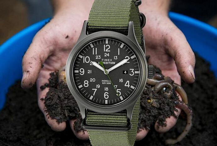 Timex expedition