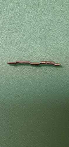 IMG-20210409-WA0007
