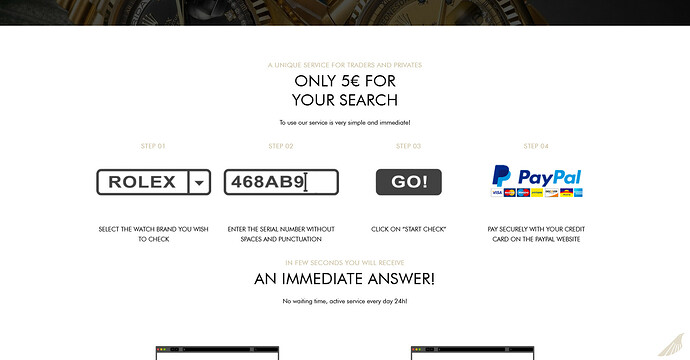 Screenshot 2021-09-22 at 21-08-35 Search – MyStolenWatch