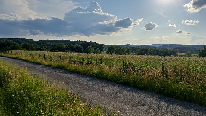 IMG-20230605-WA0021