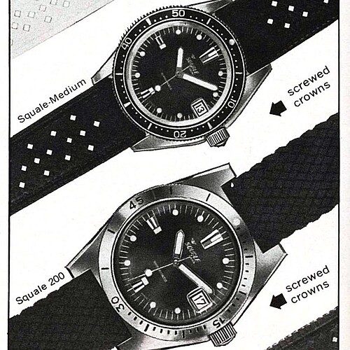 Super-Squale-9