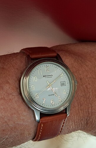 Leijona quartz titanium(1)23-09-2023
