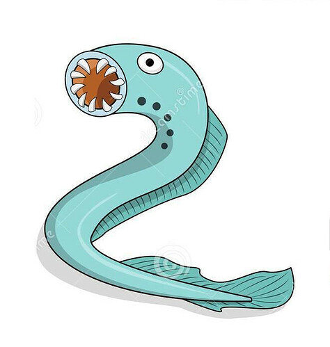 lamprey