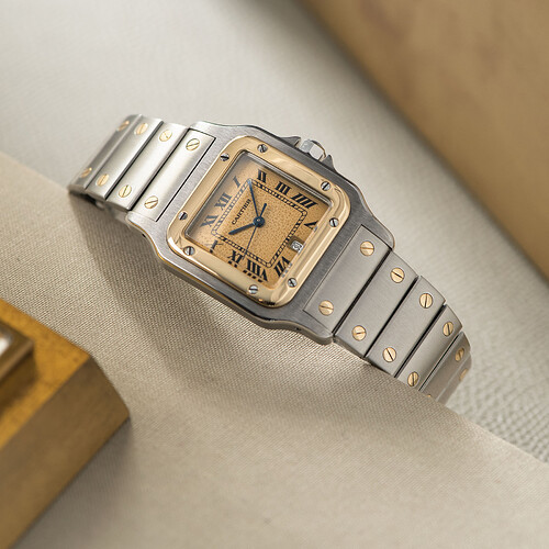 W-1431 Cartier Santos Stingray Patina_006_1x1