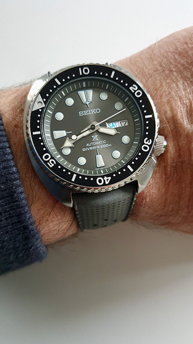 turtlegrey - 1