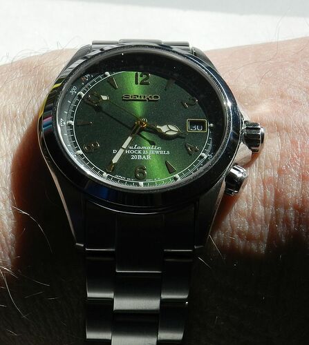 Alpinist_DSCN2767