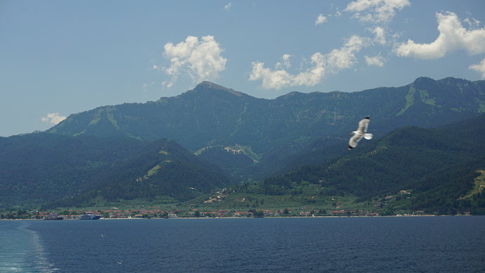 DSC01247