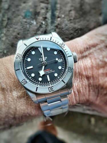 tudor4