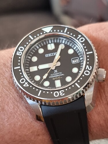 16308254859336507088285247569288