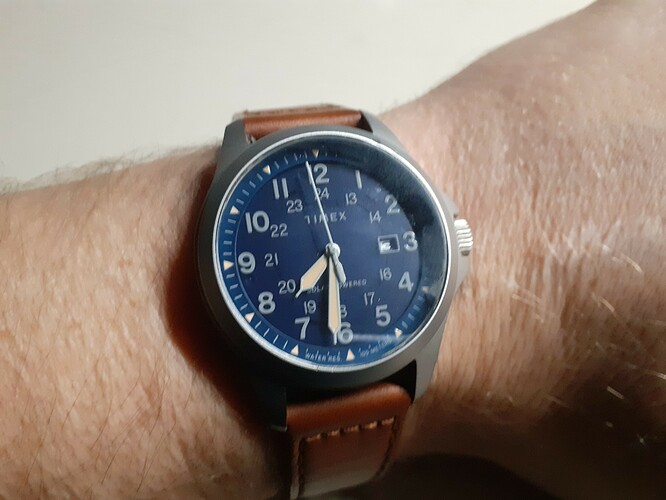 Timex Expedition North Face