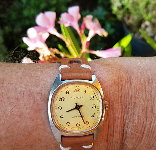 Kienzle (2) 12-08-22