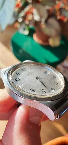 IMG-20220420-WA0019