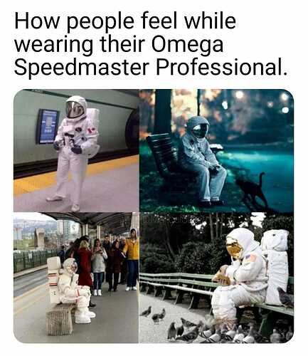 310959050_5598502713539528_2660030533491477646_n