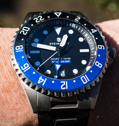 Ocean One GMT Titaniunm (6 of 8)