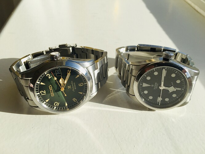 Seiko SPB155 en Tudor Black Bay