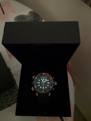 Seiko Padi donker