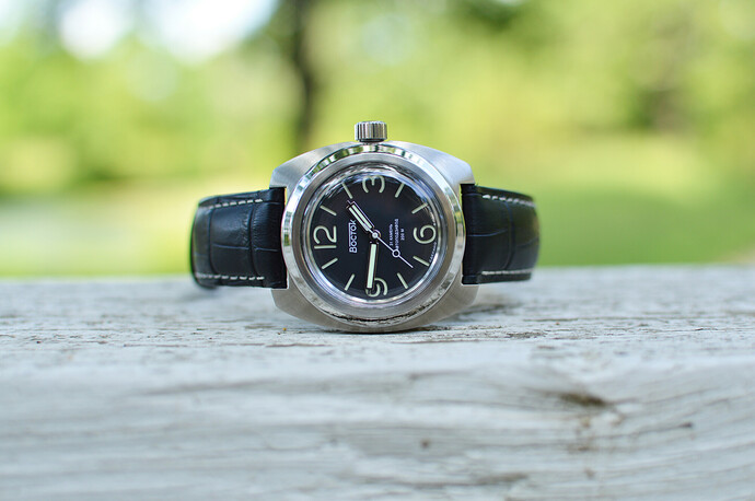 Vostok-Amphibia-pamphibia-5